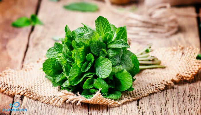 Is Chewing On Mint Good For You? Benefits Explained