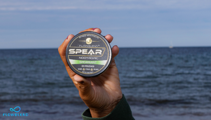 Best Nootropics To Combat Brain Fog And Improve Mental Clarity