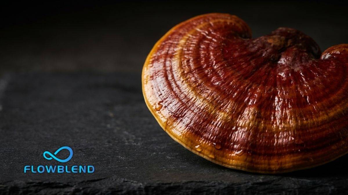 Reishi Pouches for Calm and Sleep: What They Actually Do
