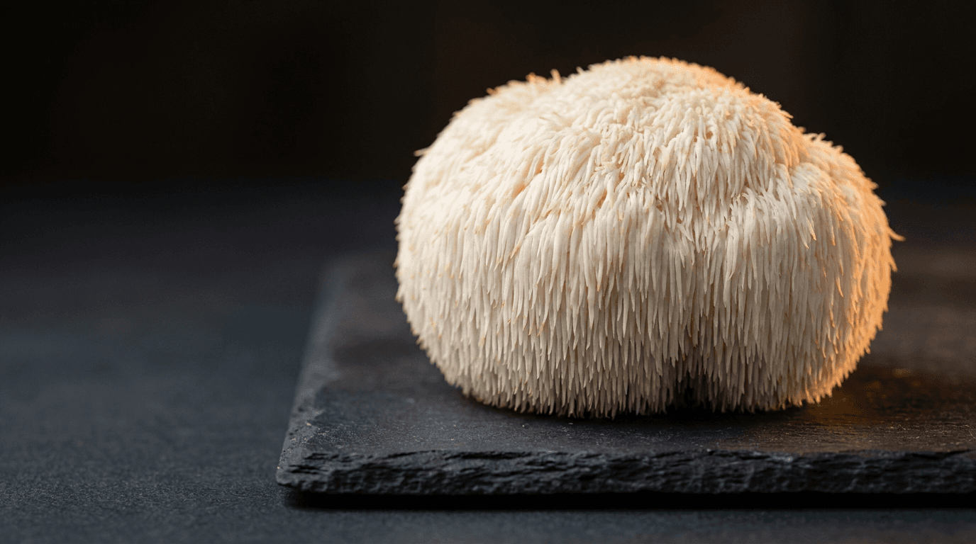 Functional Mushroom Pouches for Focus: What the Research Actually Says