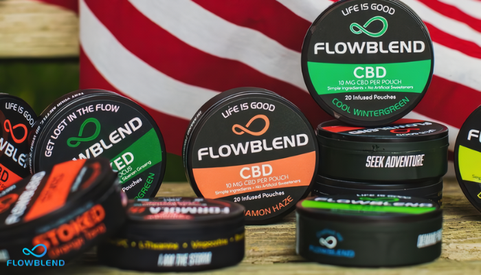 Snuff Tobacco Vs Tobacco Free Dip Pouches: A Look Into Better Alternatives