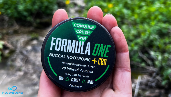 Innovative Smokeless Tobacco Alternatives: An In-Depth Look At Buccal Nootropic Products