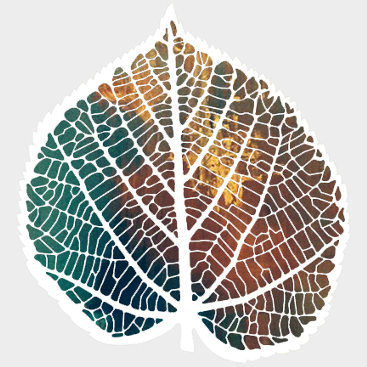 Skeleton Leaf Stencil - A Colorful Life Designs