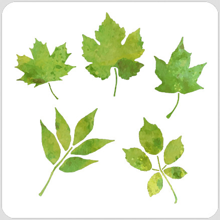 Leaf Set 2 Stencil - A Colorful Life Designs