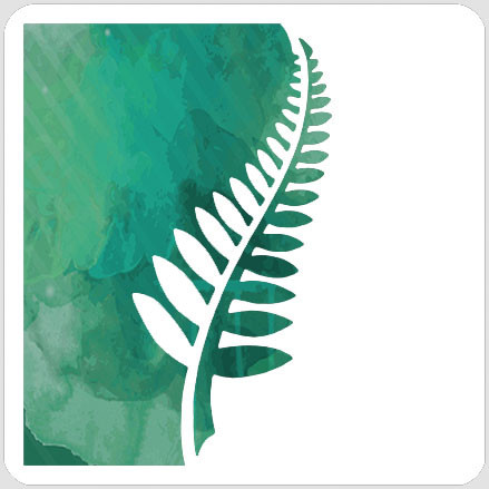 A Colorful Life Designs