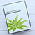 Agave Stencil