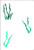 Layered Seaweed Stencil