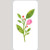 M20136 - Bloom & Berries Wildflower
