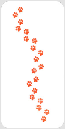 paw stencil free