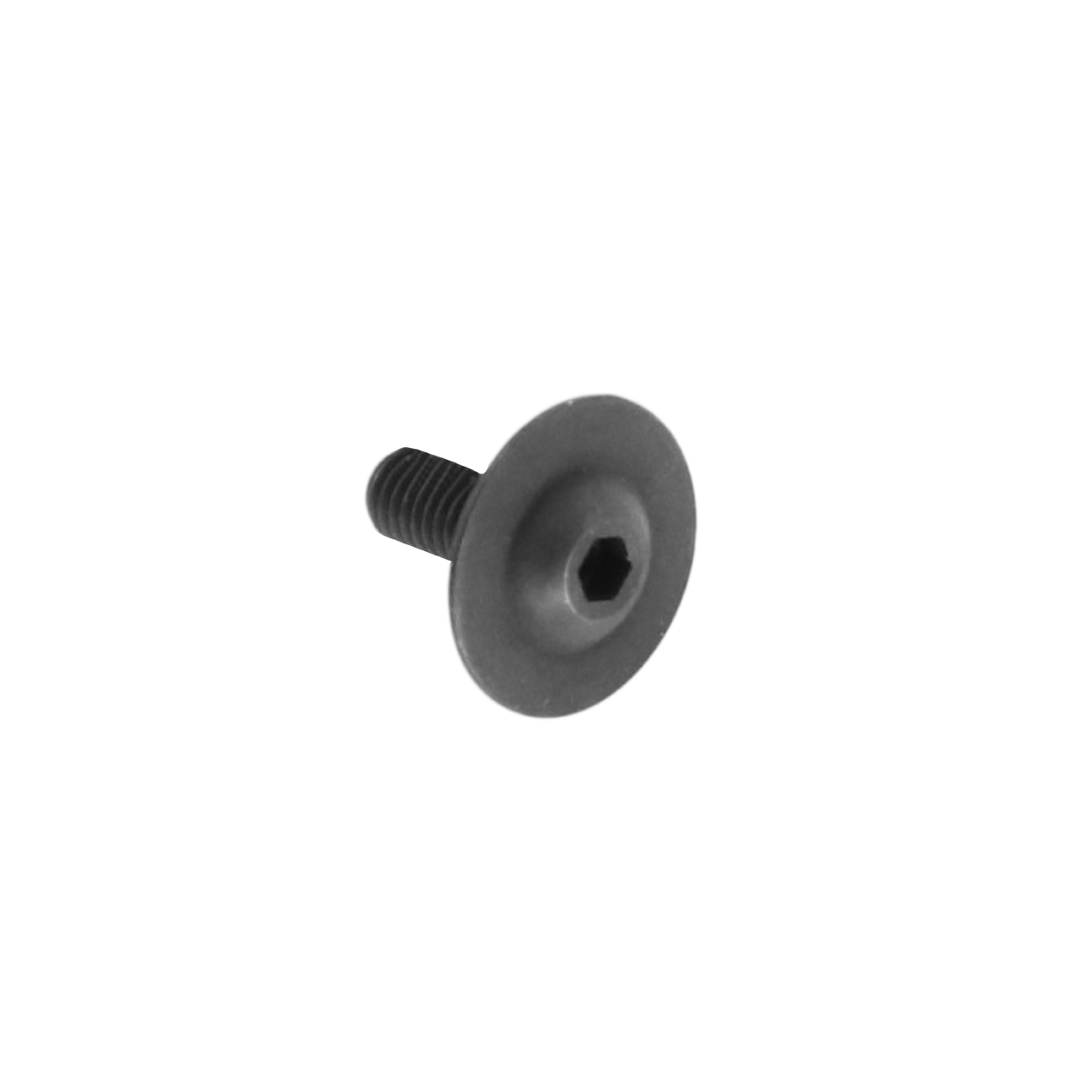 #10-32 Shaft End Screw - 10 Pack