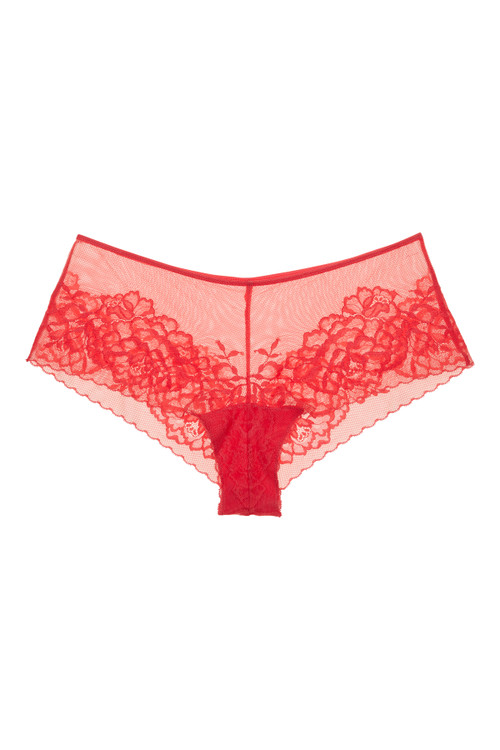 Natori Flora Girl Brief Panty In Hibiscus