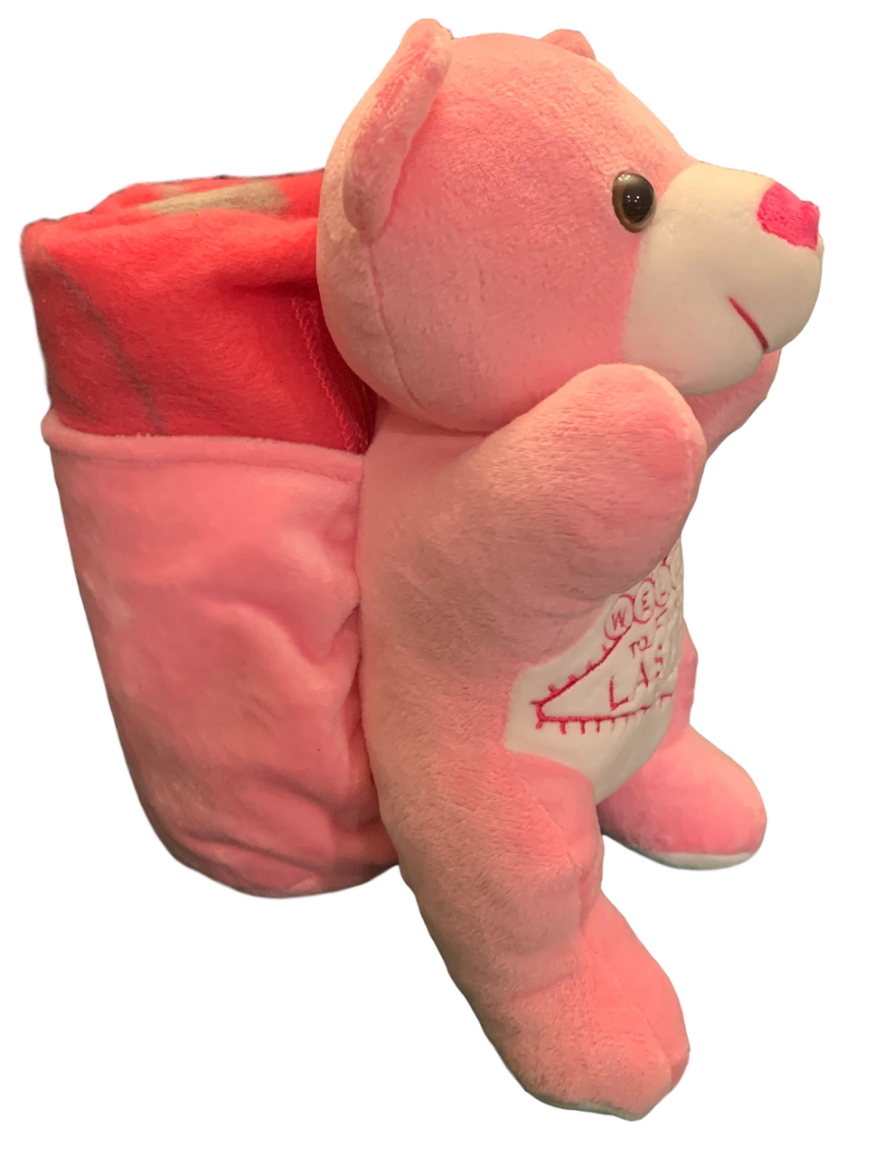 teddy bear with pouch