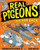 Real Pigeons: Splash Back