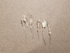 Bow Pins - Small - Iridescent and Crystal on 20ga Silver Pins P035