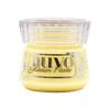 Pineapple Delight - Nuvo Glacier Paste 1.6oz