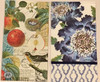 Assorted Napkin Kit all occasion