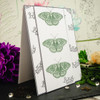 Hunkydory Crafts For the Love of Stamps- Layering Silver- Washed Fritillary Butterfly A6