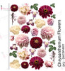 Dress My Craft Transfer Me- Chrysanthemum Flowers