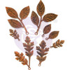 Prima Marketing Mechanicals Metal Embellishments- 8pc Woodland Leaves