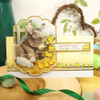 Hunkydory Crafts Hello Spring Deco-Large Set- Family Time HELLODEC904