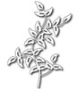 Frantic Stamper Cutting Dies- Elegant Vine