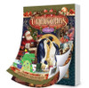 Hunkydory Crafts The Ninth Little Book of Christmas LBK319