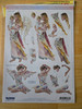 Reddy 3D Precut Angel Whispers - Bundle w/ 7 topper sheets