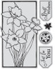 Couture Creations - Framed Daffodils Stamp & Colour Outline Stamps (5pc)