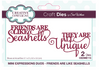 Creative Expressions- Mini Expressions Duo- Friends Are Like Seashells Die