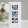 Creative Expressions- Sue Wilson- Slimline Collection- Stitched Rectangle Aperture Trio Craft Die