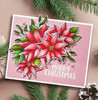 Creative Expressions- Jane's Doodles A5 Clear Stamp Set- Poinsettia