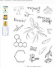 Creative Expressions- Bonnita Moaby A5 Clear Stamp Set- Queen Bee