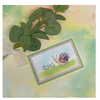 Creative Expressions- Designer Boutique A6 Stamp Set- Floral Delivery