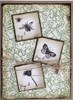 Creative Expressions- Sam Poole A6 Pre-Cut Rubber Stamp- Wildflowers
