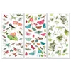49 and Market by Katie Pertiet- Kaleidoscope Botanical Rub-on Transfer