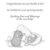 Spellbinders House Mouse Cling Rubber Stamp - Bundle of Joy
