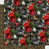 Graphic 45 12x12 Collection Pack- Curiouser & Curiouser