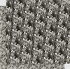 Graphic 45 12x12 Collection Pack- Curiouser & Curiouser