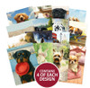 Hunkydory Crafts Dog Days Pocket Pad