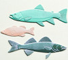 Memory Box- Open Studio- 3D Embossing Folder & Matching Dies- Freshwater Fish EF1028