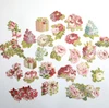 Anna Griffin Everyday Die Cuts