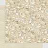 Graphic 45 8x8 Collection Pack- The Beach is Calling