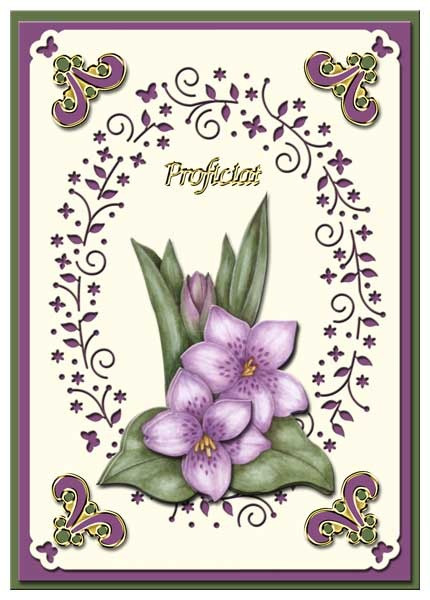 Luxury Cardlayers 3pc Sprinkle Flowers Oval C5847 Ivory Laser-Cut Card Accents Making