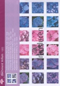 Pergamano Parchment Vellum - Hydrangea SQUARES 5 sheets 8.5x11