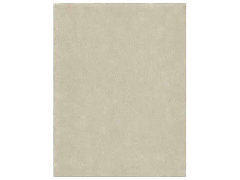 3PC 8.5x11 Celery Green VP-P24 Velveteen Sueded Paper