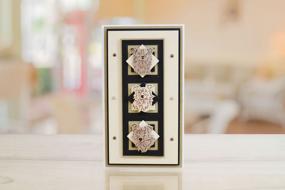 Tattered Lace Linking Apertures Squares Cutting Dies ETL545