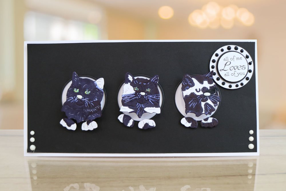 Tattered Lace Linking Apertures Circles Cutting Dies ETL547