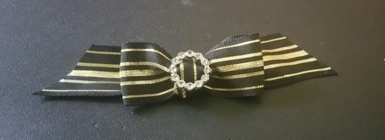 Ribbon Slider Charm Round Acrylic 25pc Silver C2000