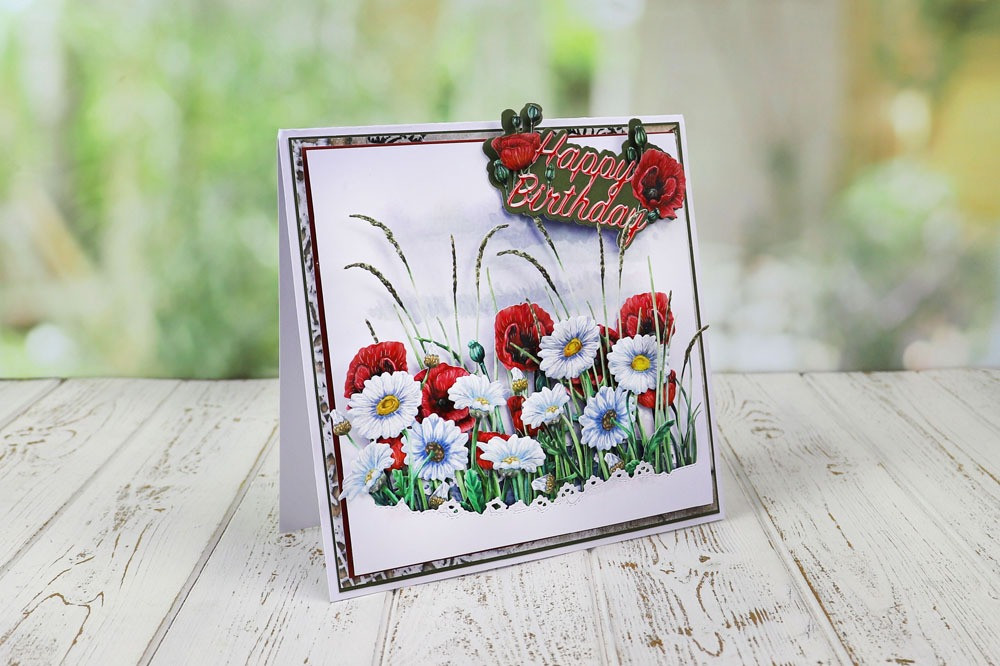Tattered Lace Botanical Poppy & Daisy Border Dies - 569061