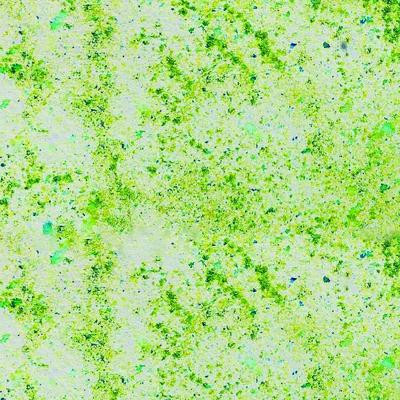 Cosmic Shimmer Jamie Rodgers Pixie Sparkles 30ml -- Zesty Lime